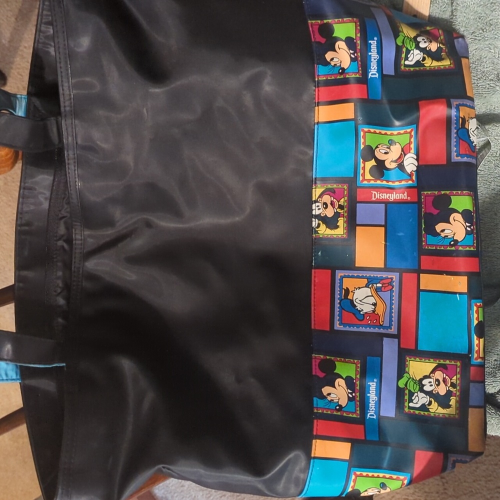 Disneyland bag with straps